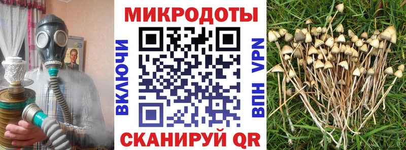 где продают Бугуруслан Псилоцибиновые грибы ЛСД