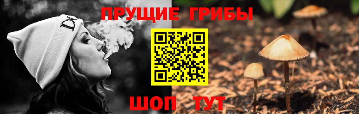 Бугуруслан  Псилоцибиновые грибы Psilocybine cubensis  Вход с VPN 